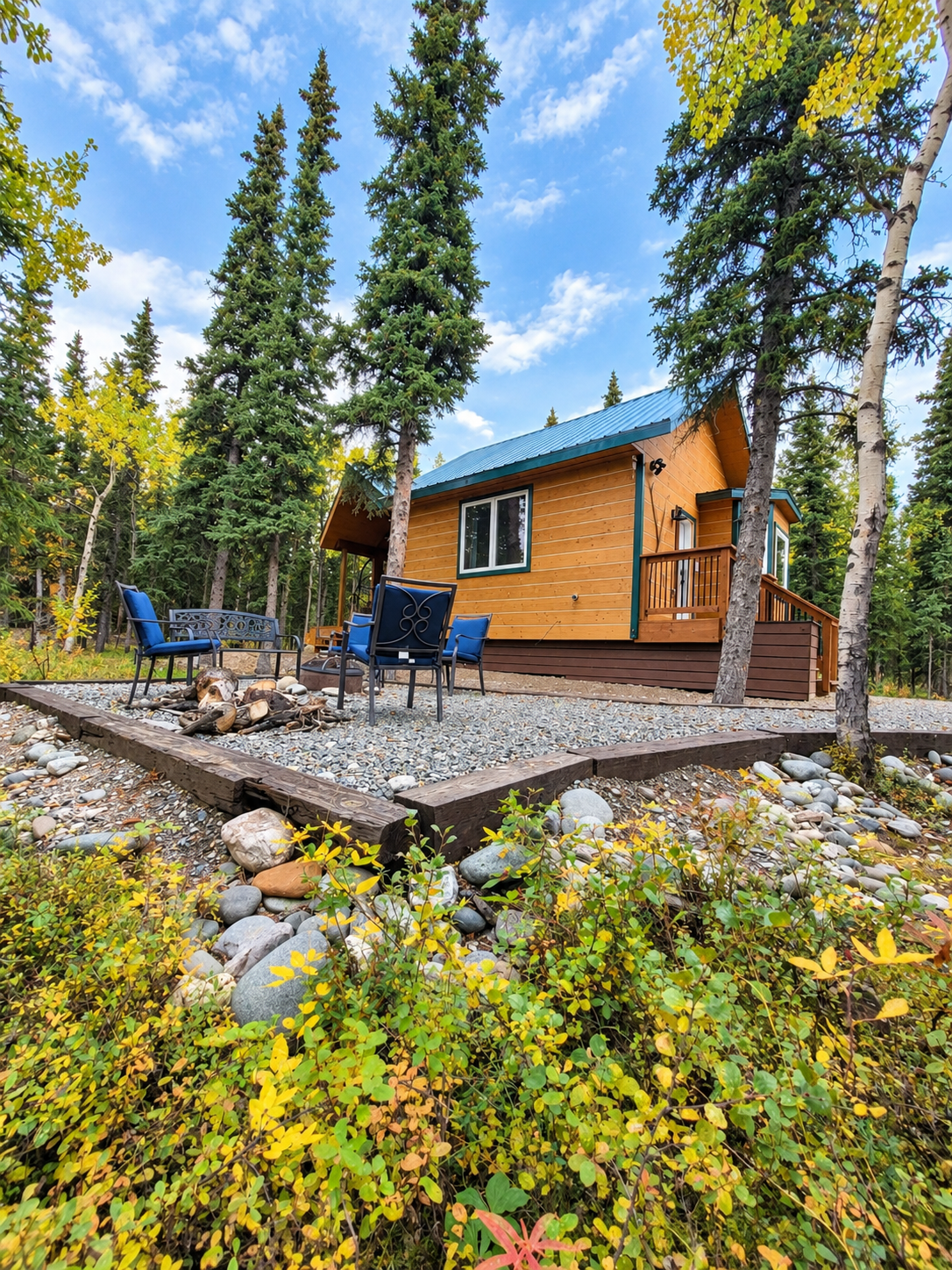 Backyard and fire pit