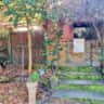 Rental image