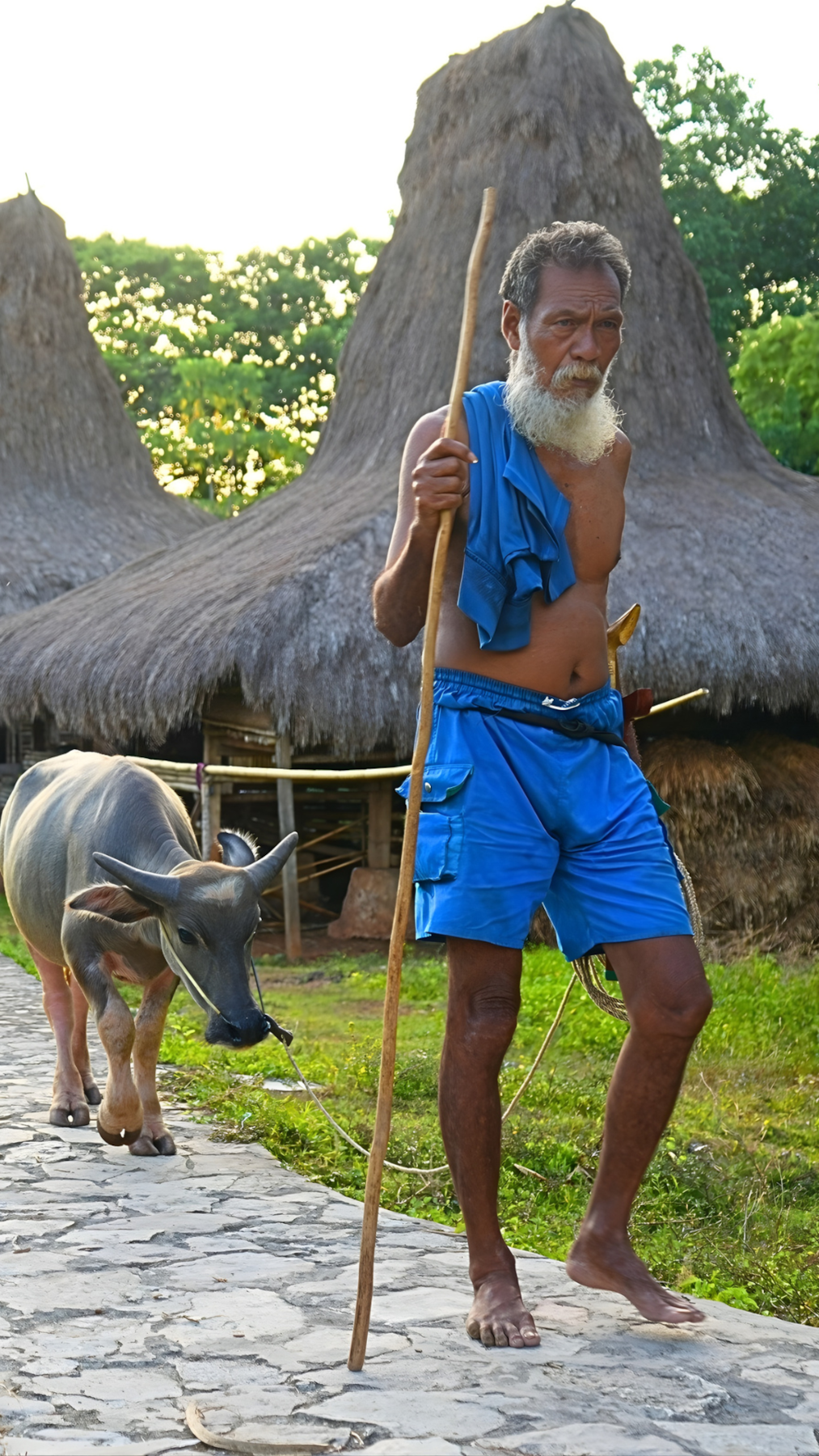 Explore Sumba culture