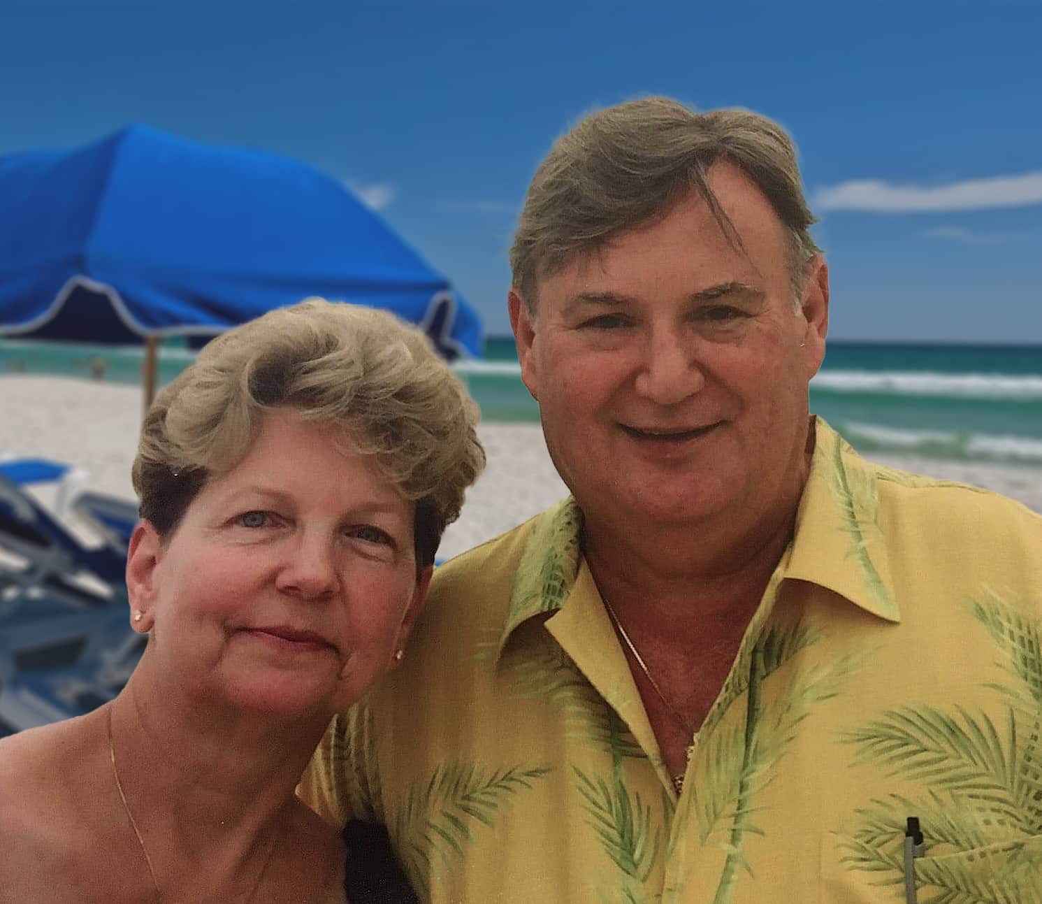 Len Farina Properties