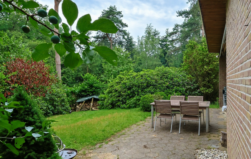 Garden and terrace