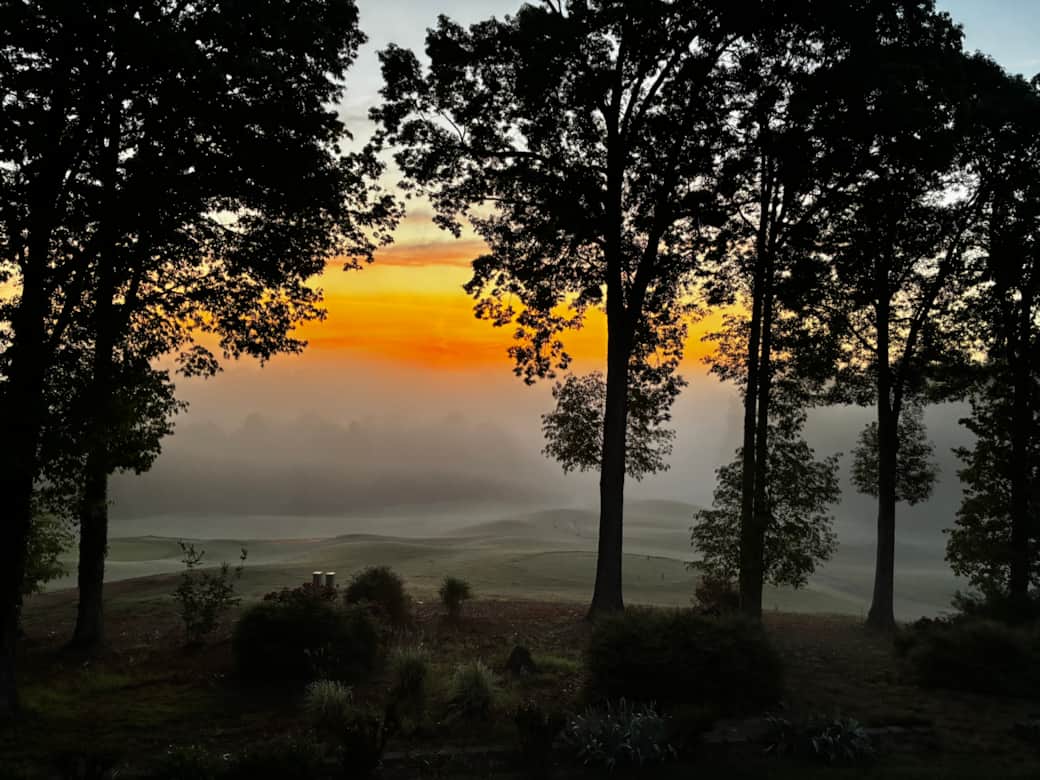 Sunrise through the fog Sunrise through the fog