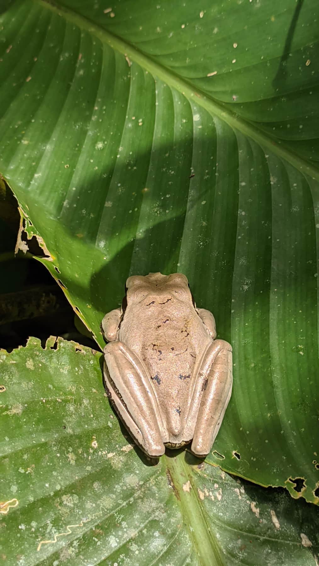 Manuel Antonio National Park