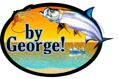 By George Surf City