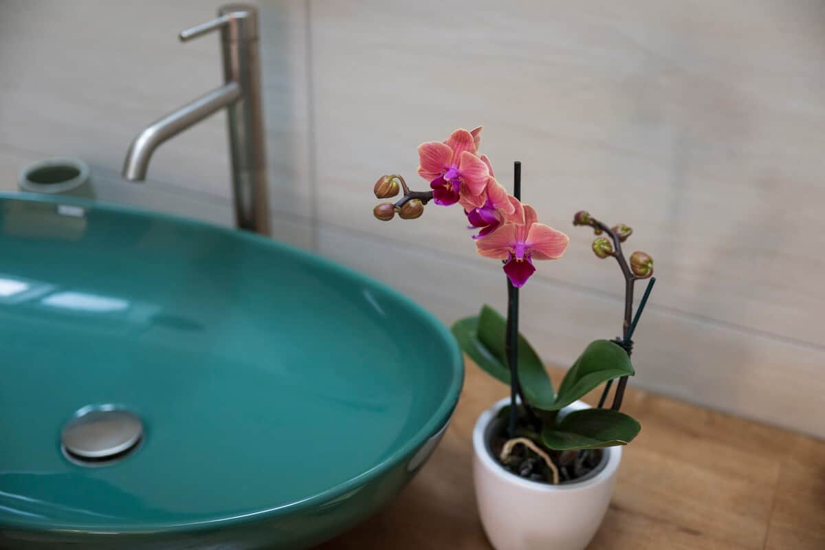Bright en-suite bathroom with large shower and skylight in Sorrento historic centre