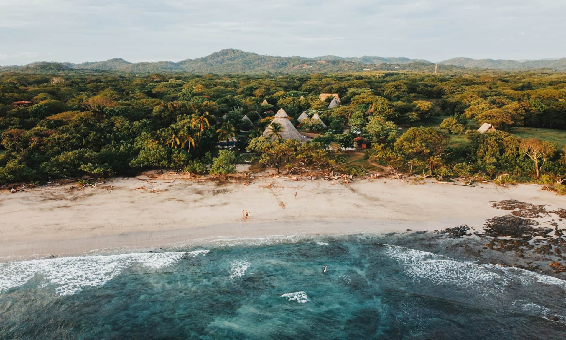 Ocean Jungle Retreat
