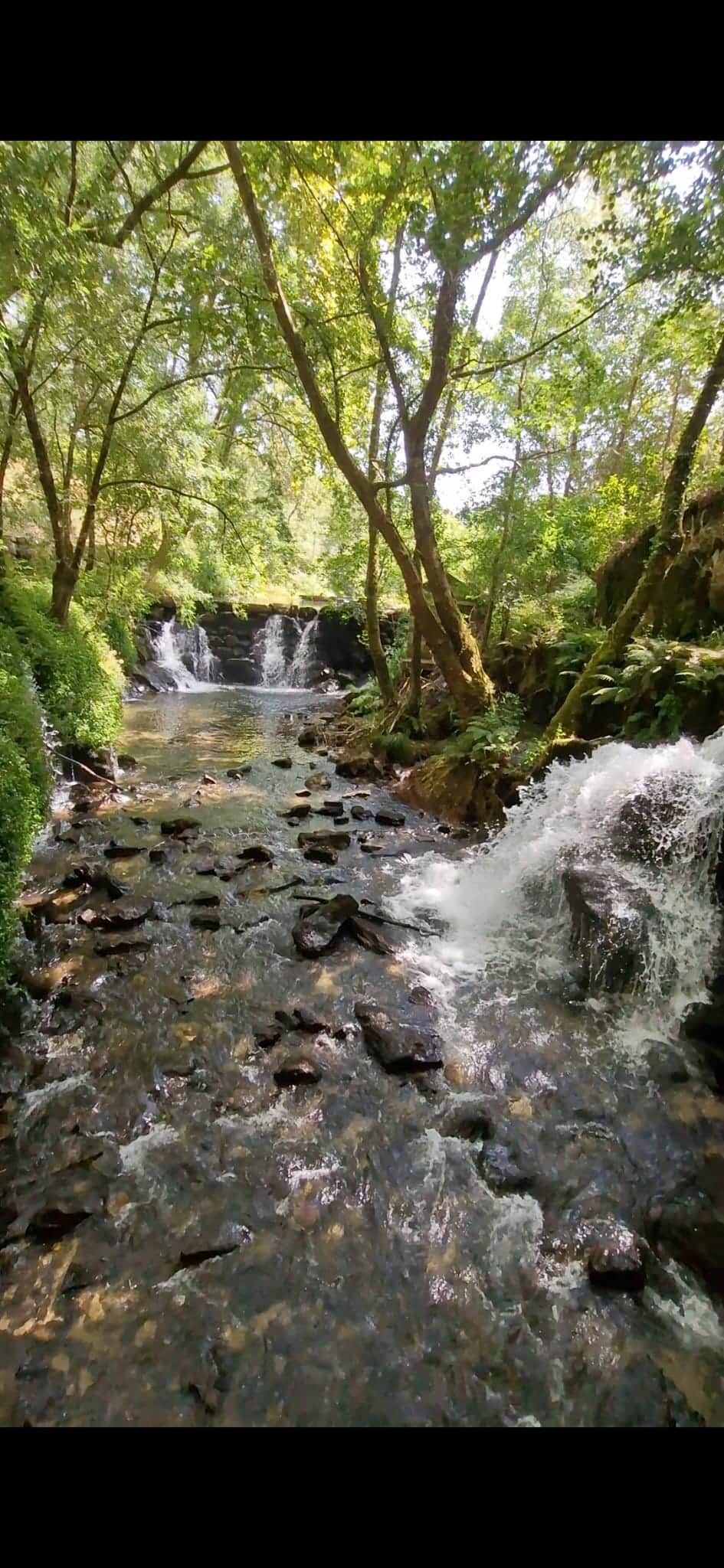 Waterfalls just 1km walk Waterfalls just 1km walk