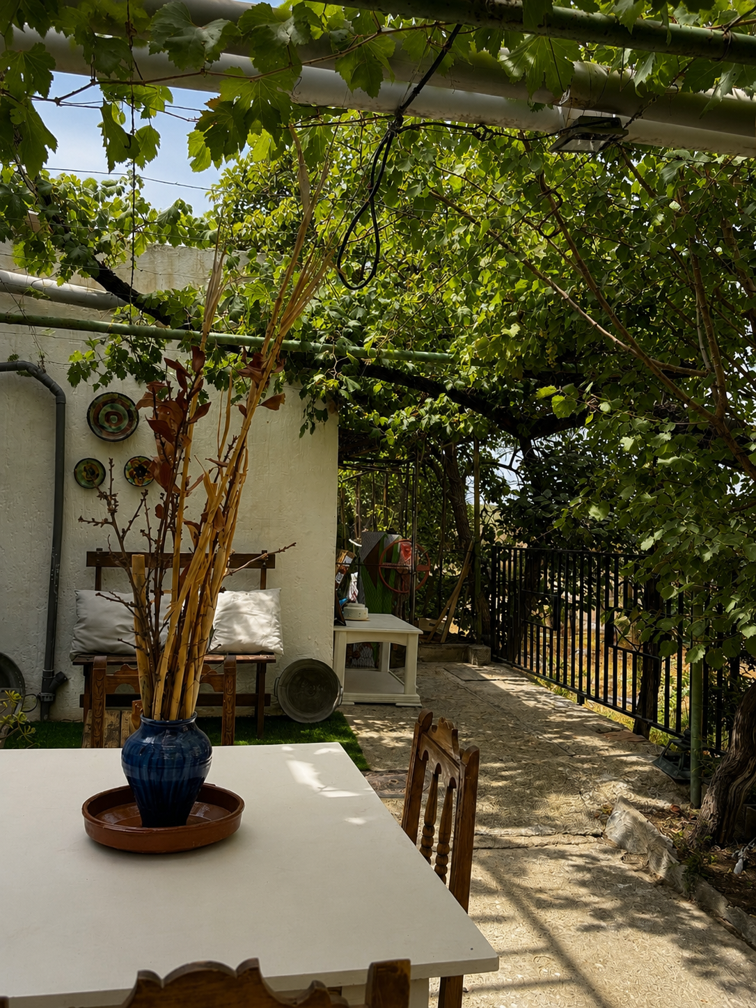 Terraza