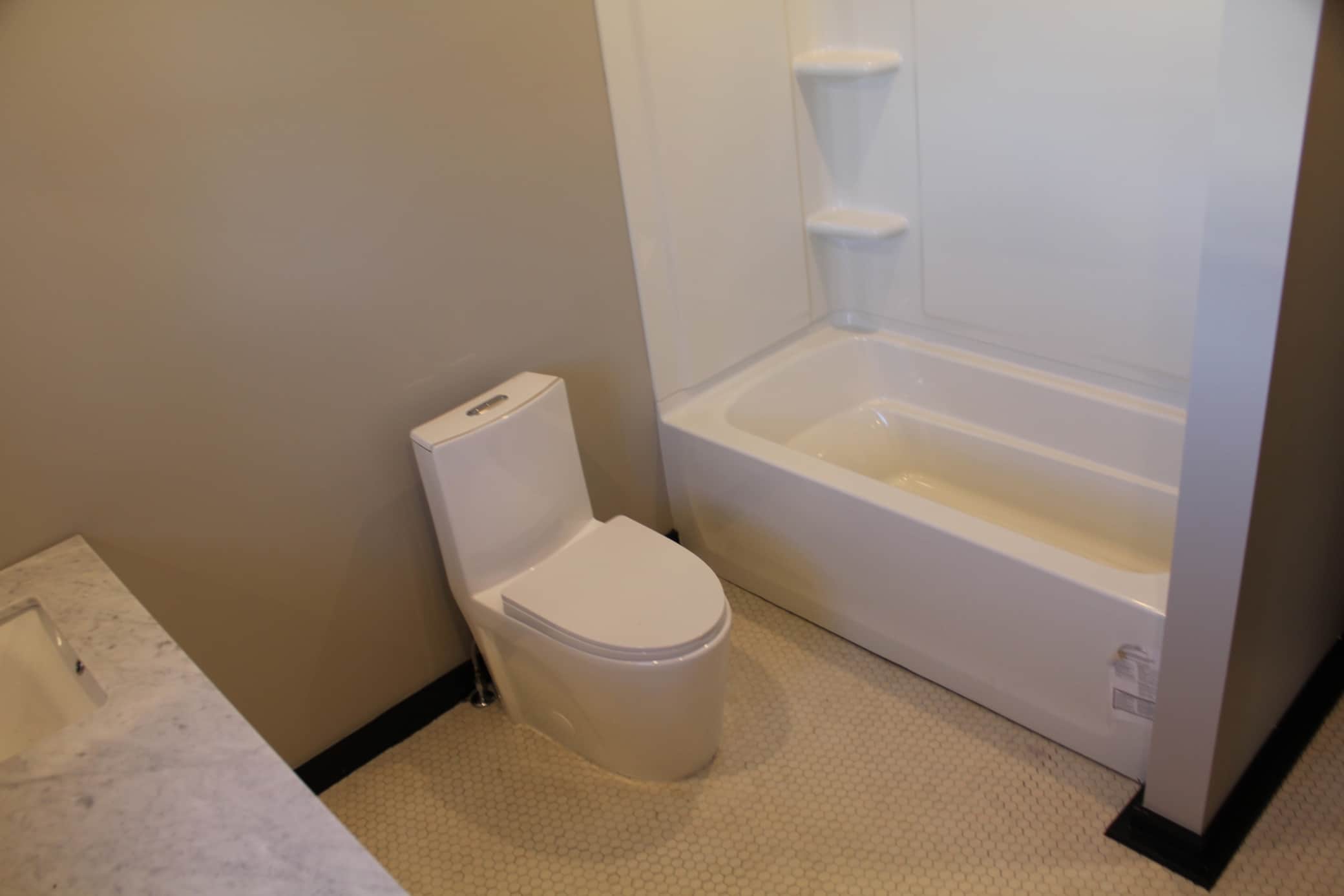Image Title