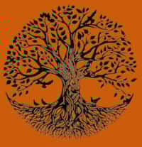 Tall Trees Nanaimo Airbnb