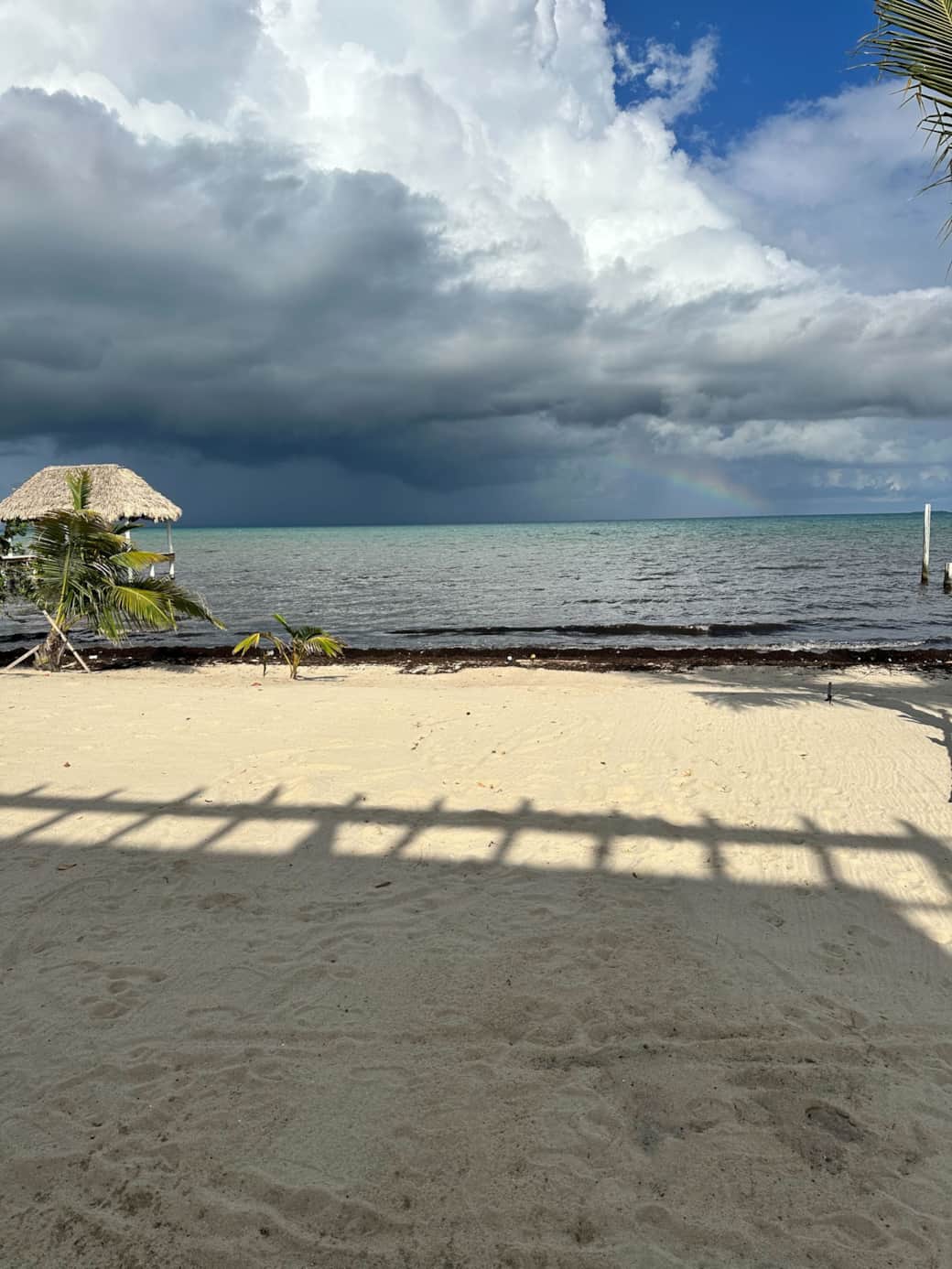 Rainbow - Copy Rainbow - Copy