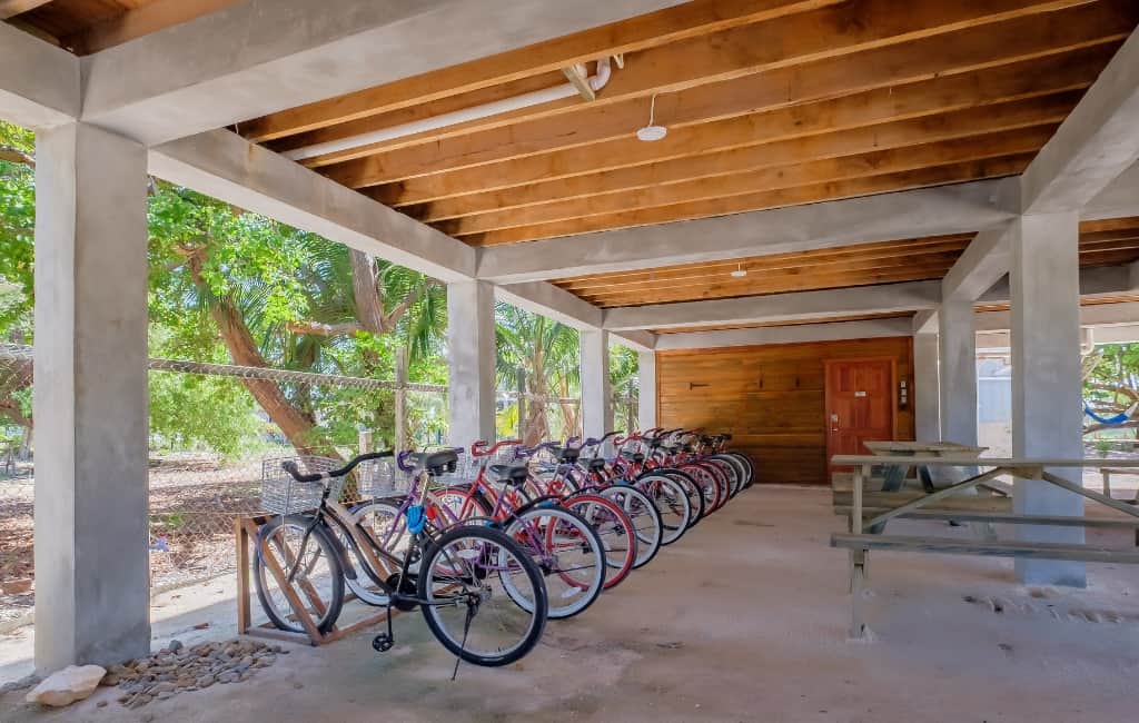 Bicycles- Grounds - 1