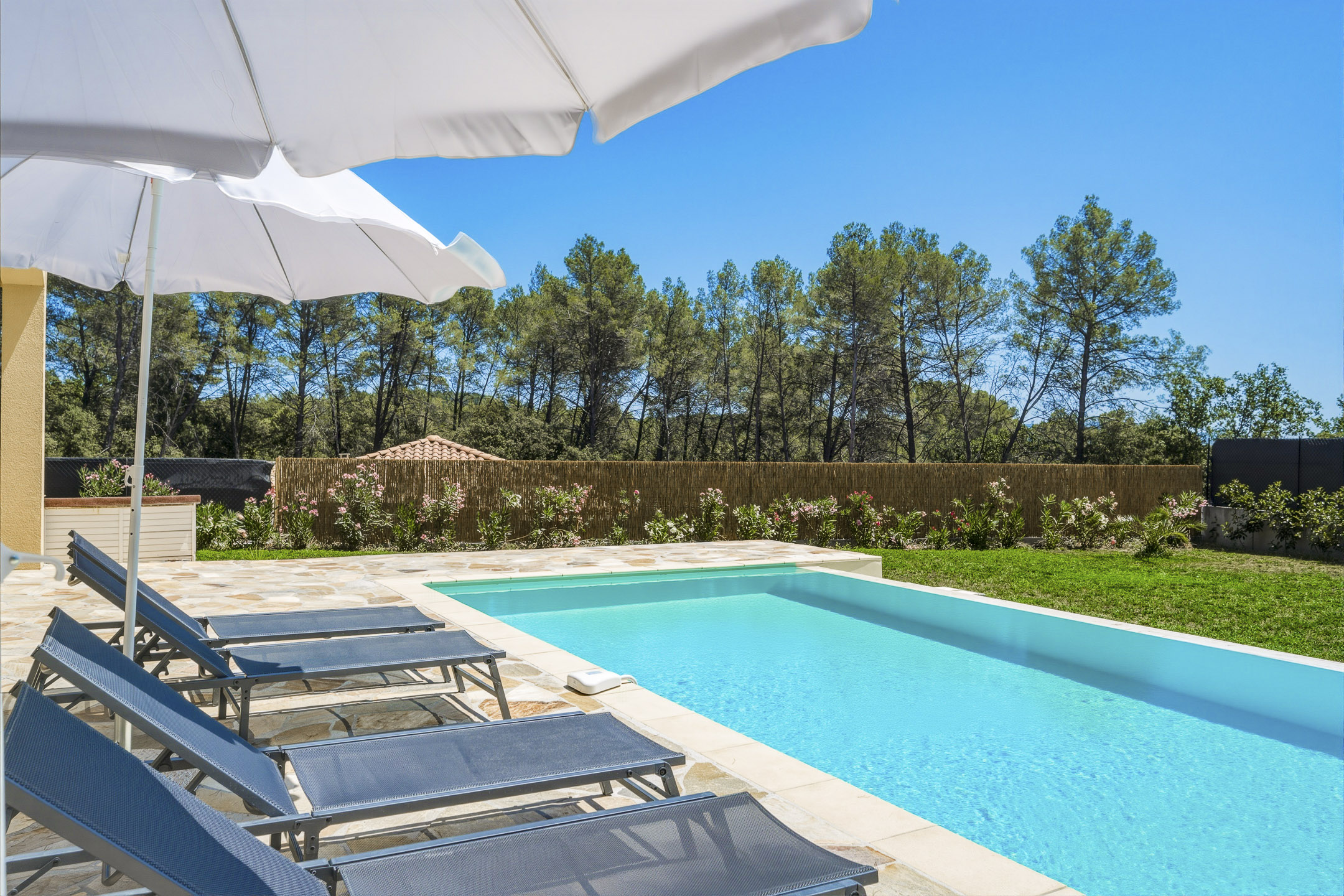 Pool and terrace