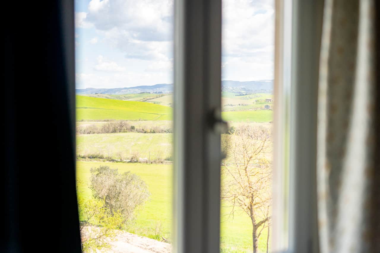 View from Alloro Room