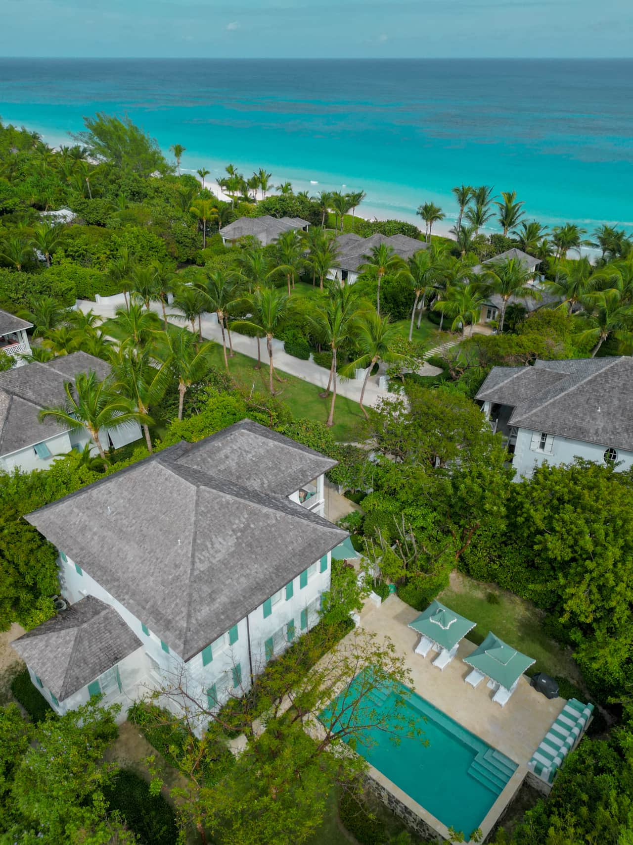 Lily Pad Aerial 