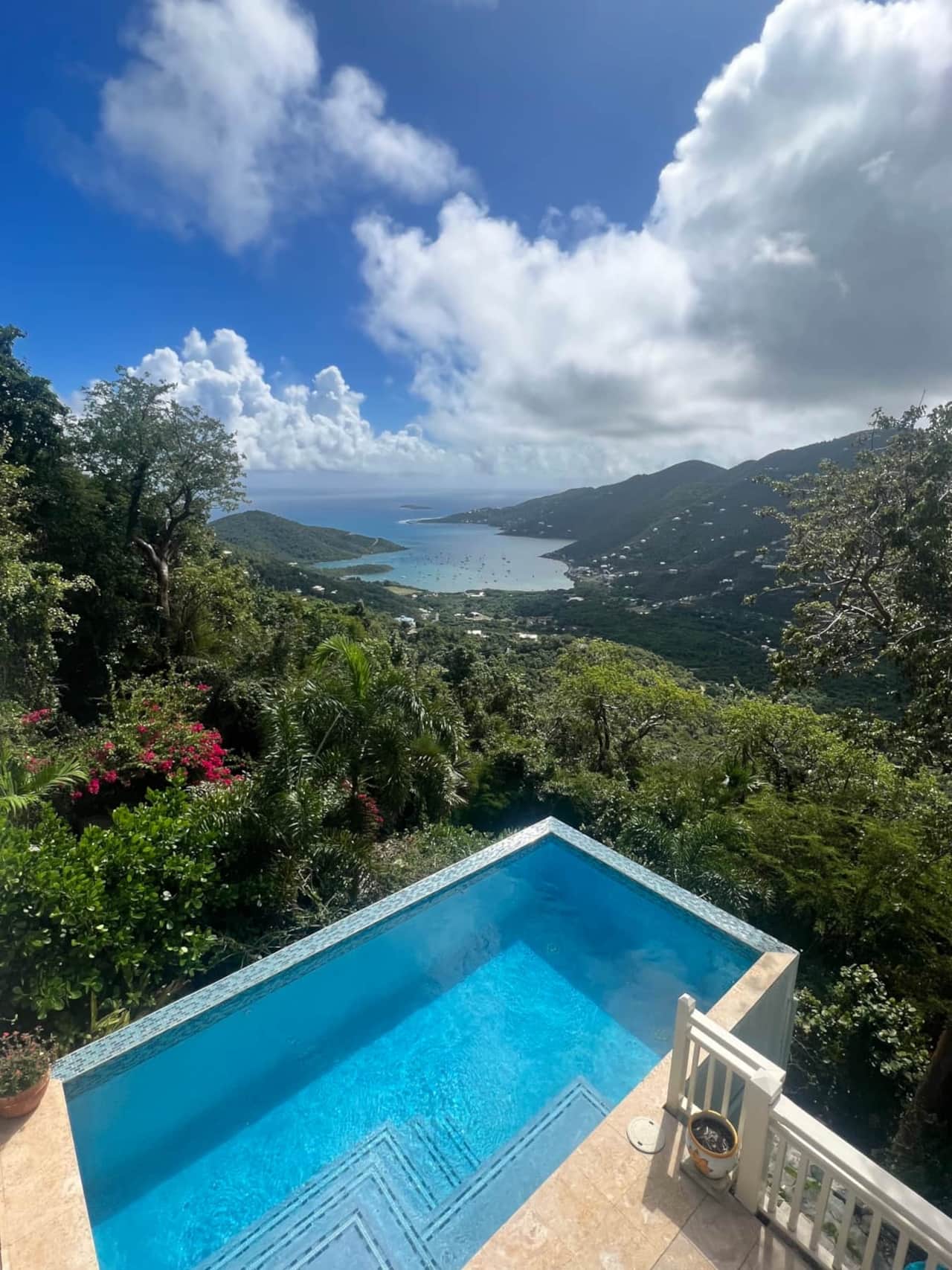 Tropical Manor pool