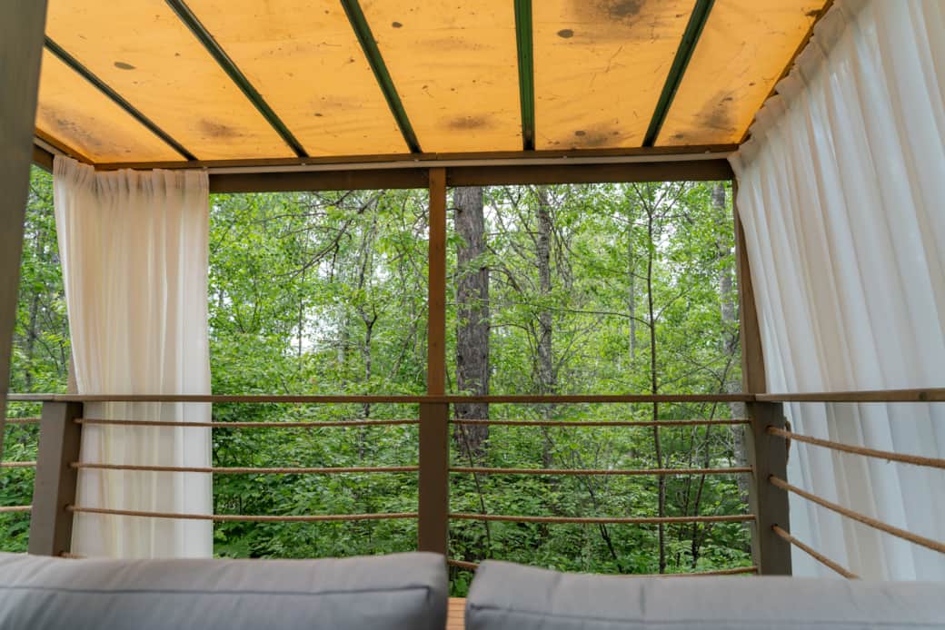 D S C09529 D S C09529