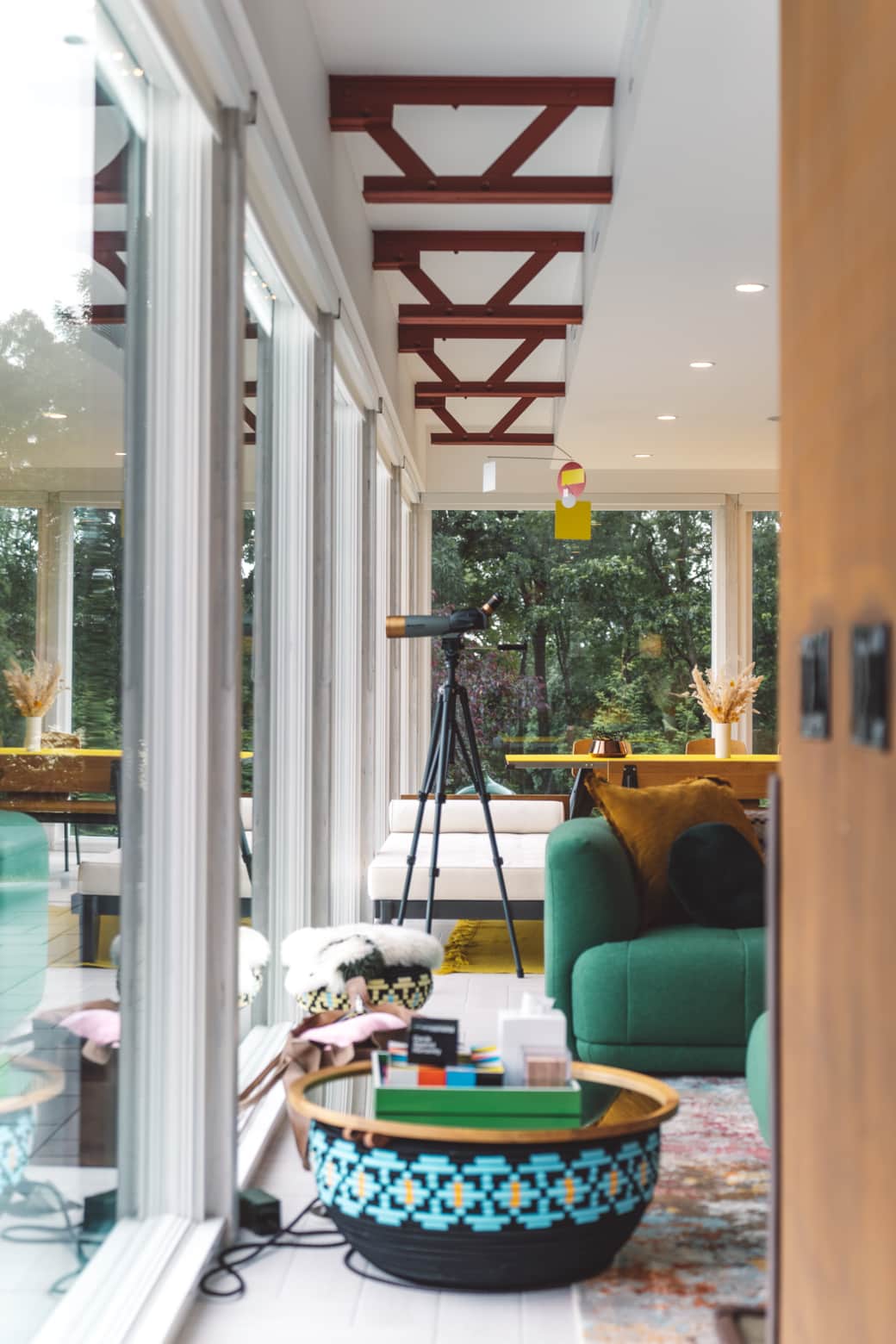 Watch the animals. Watch the animals.