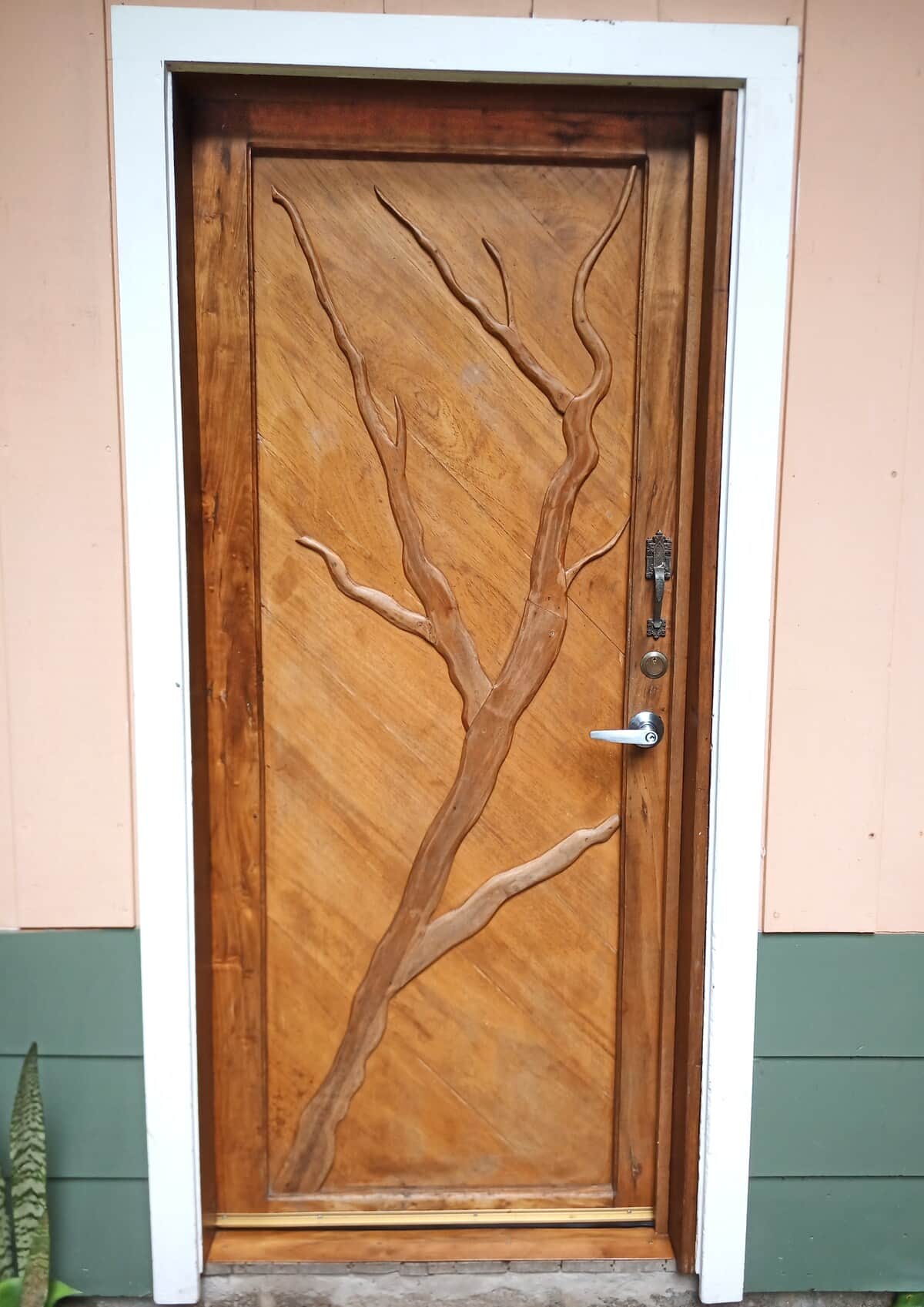 🚪 Handcrafted front door welcoming you home.