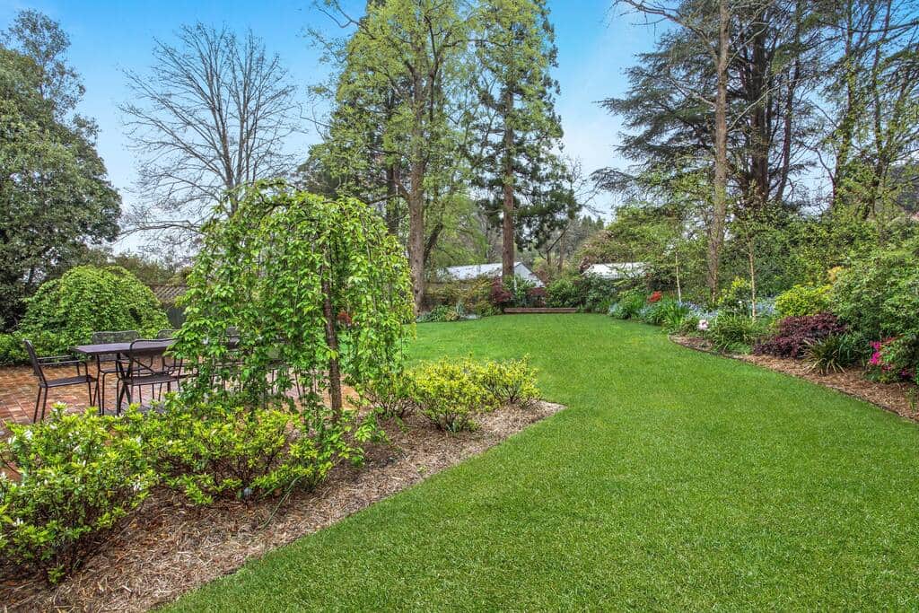 Large established garden