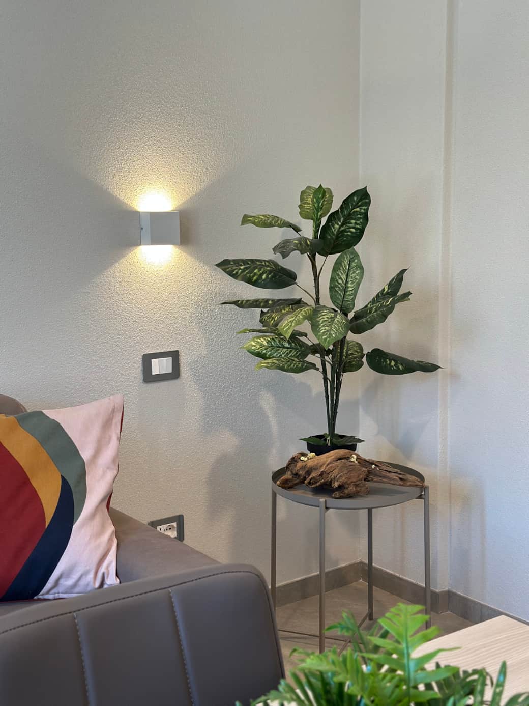 IMG 3423