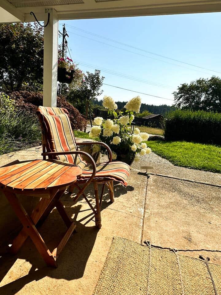 View from the entrance to the patio and yard