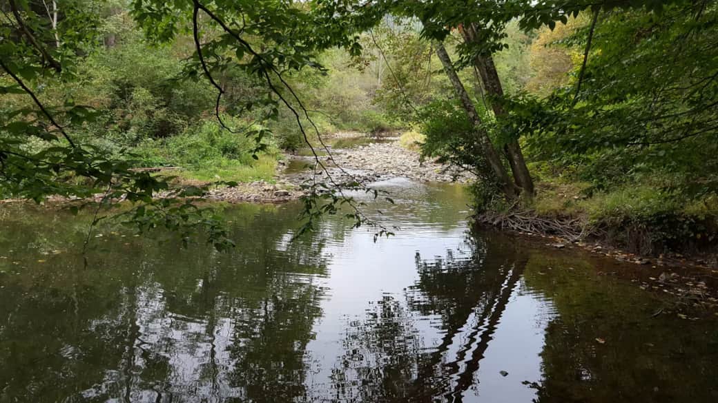 Creek