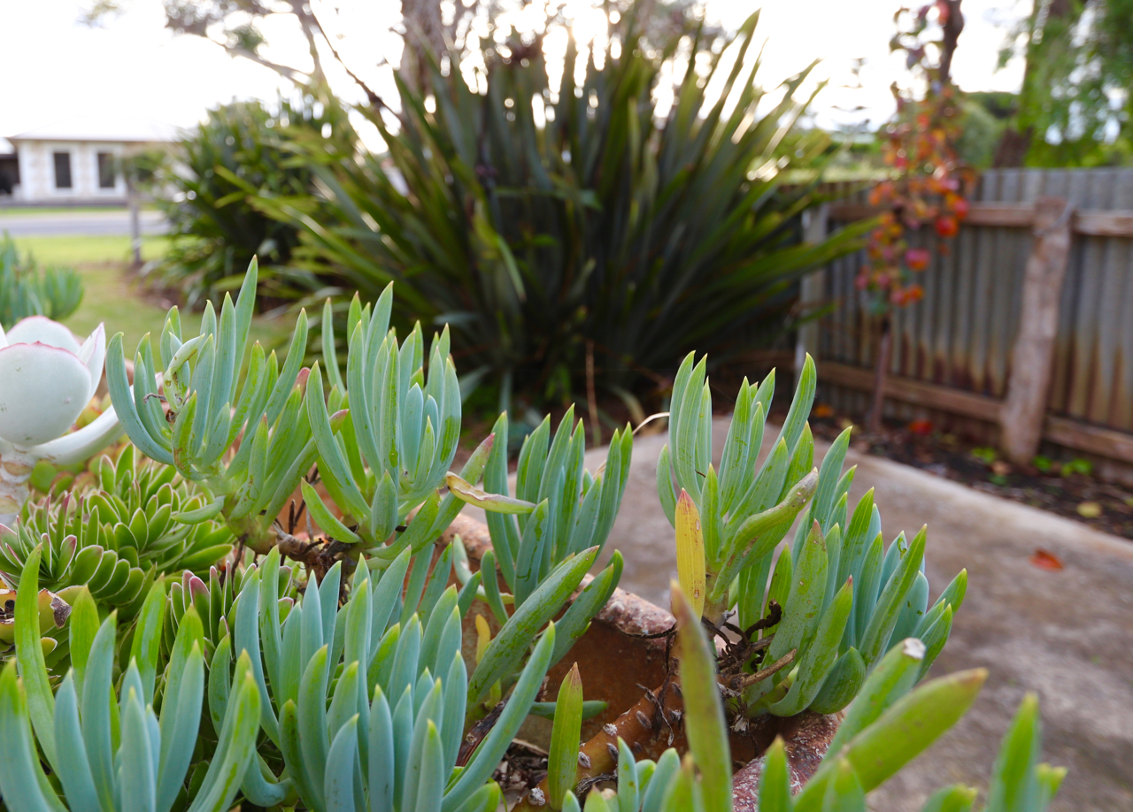 Robe, South Australia