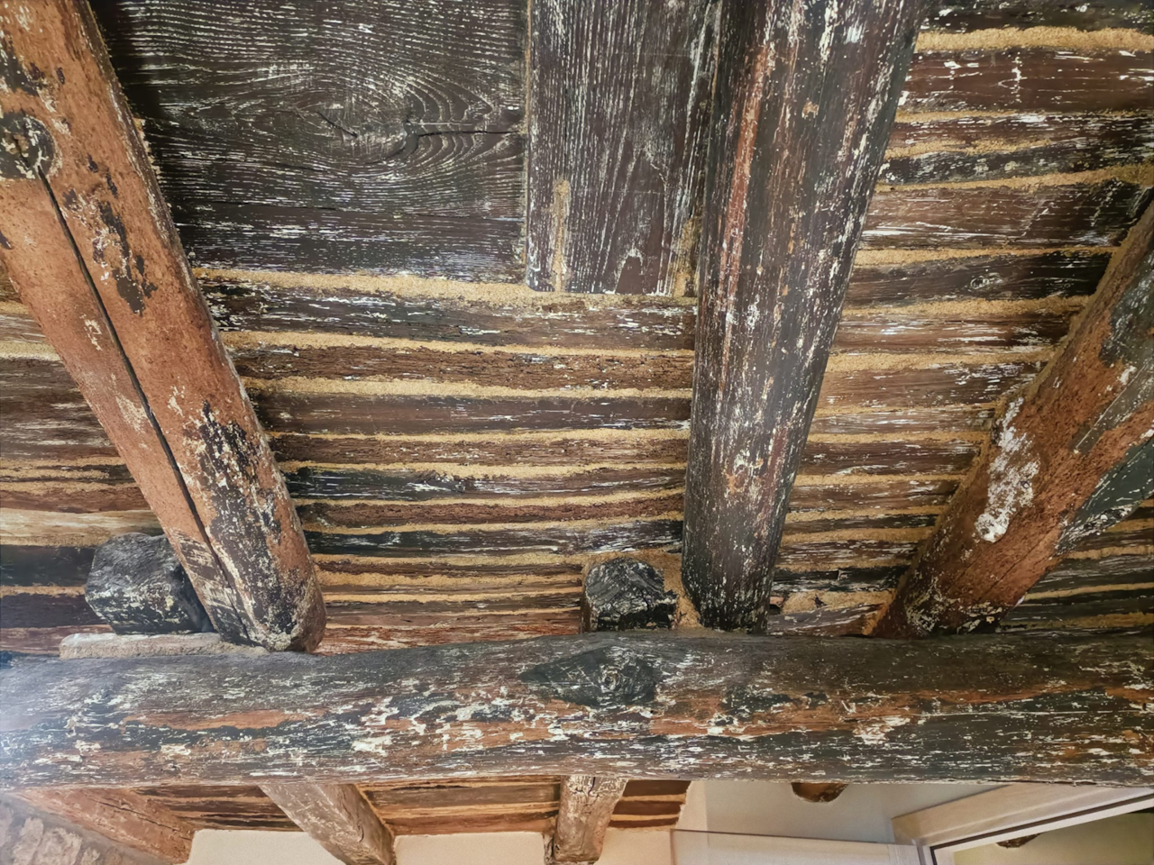 WhatsApp Image 2025-03-15 at 01.29