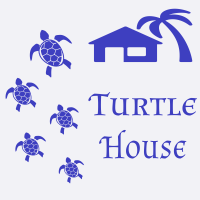 Turtle House