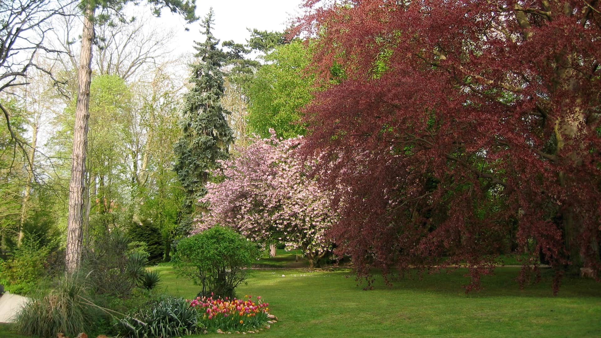 https://l.icdbcdn.com/oh/cb8f6bc3-1107-4246-bf2d-1935813c7215.jpg?w=2080-6