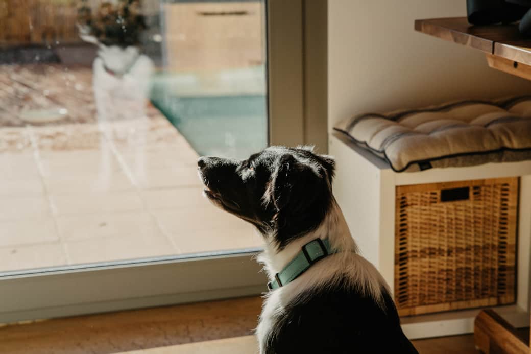 Mini mirant finestra