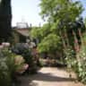 Rental image