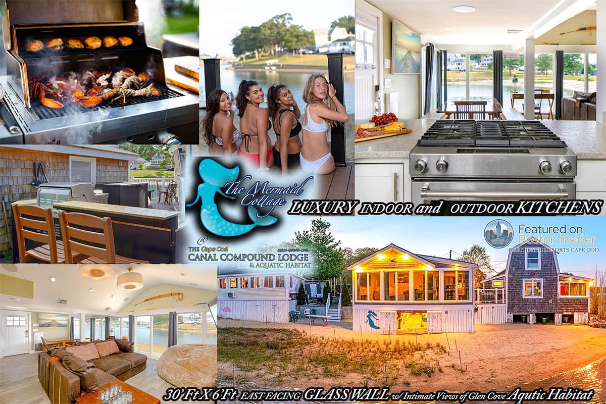 Indoor & Outdoor Kitchens w/ 30'ftX6'ft East Facing GLASS WALL w/ Intimate Views of Glen Cove 