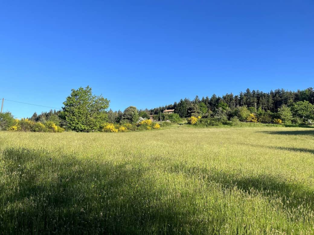 Au printemps, la vue depuis le bas du terrain est un tableau vivant ! Laissez-vous charmer par la nature en fleurs et la promesse de belles journées au Domaine Solio.