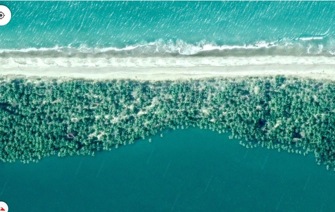 The Island