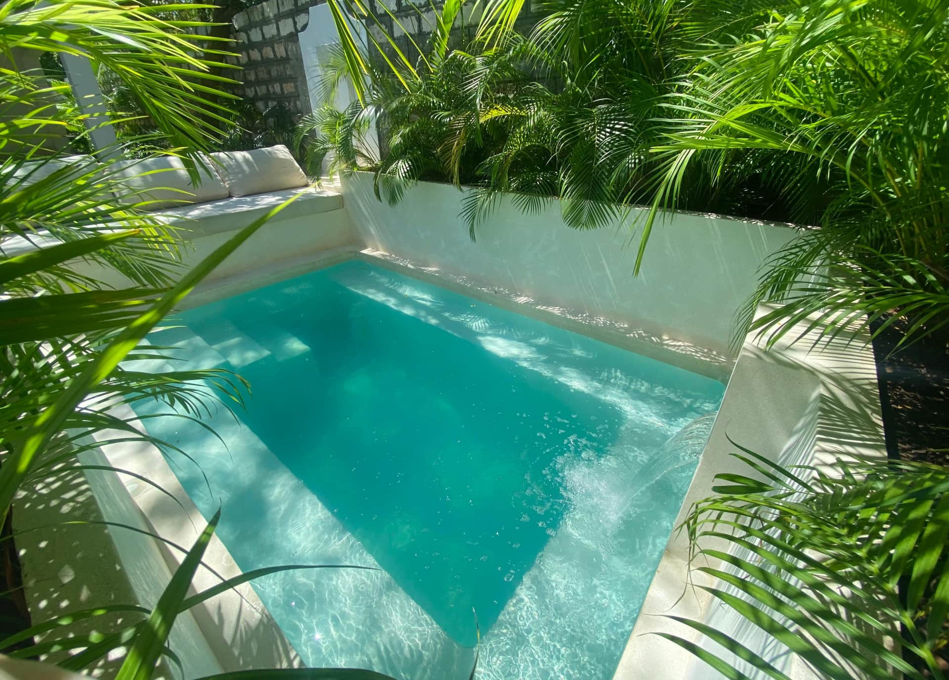 Palm Villa Plunge Pool.jpg