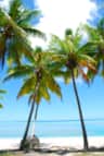 cozycovesbeach.com