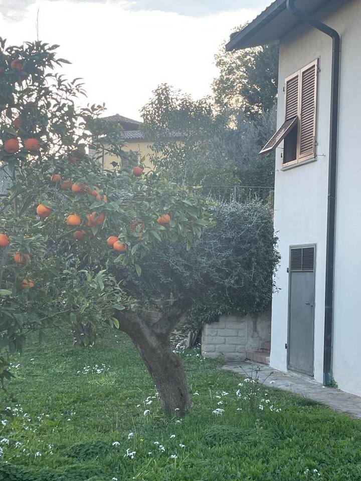 Il Giardino privato sul retro con Alberi da frutto
