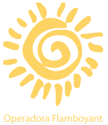 Departamentos Flamboyant
