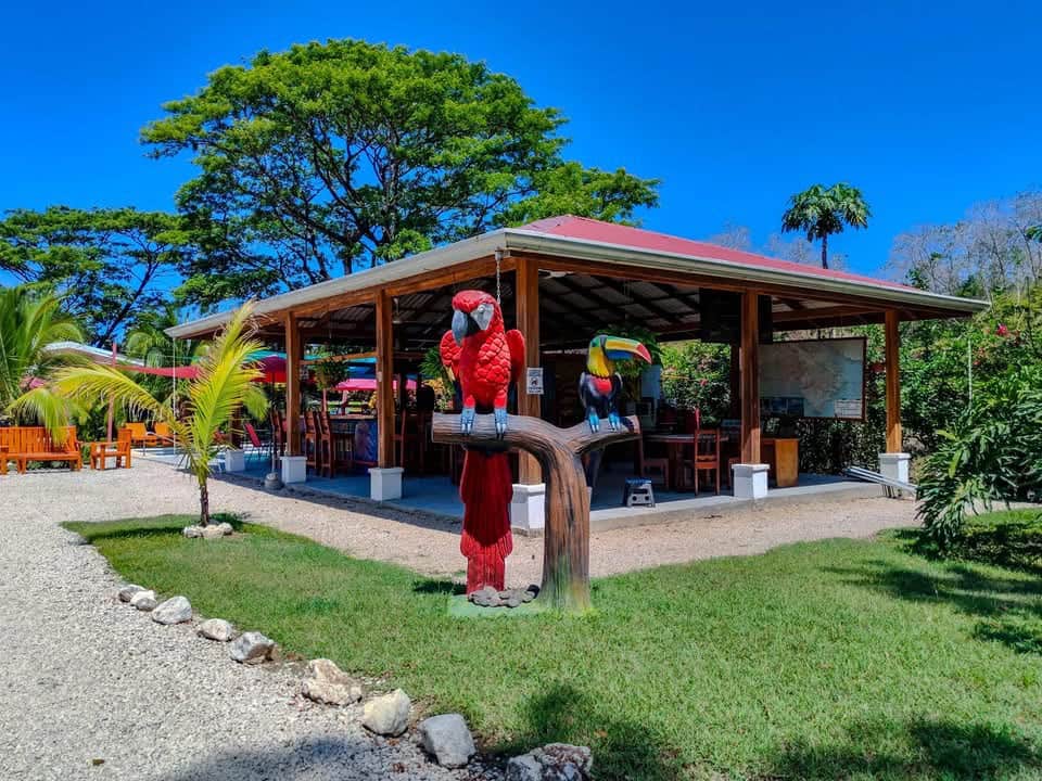 Parrotandrancho