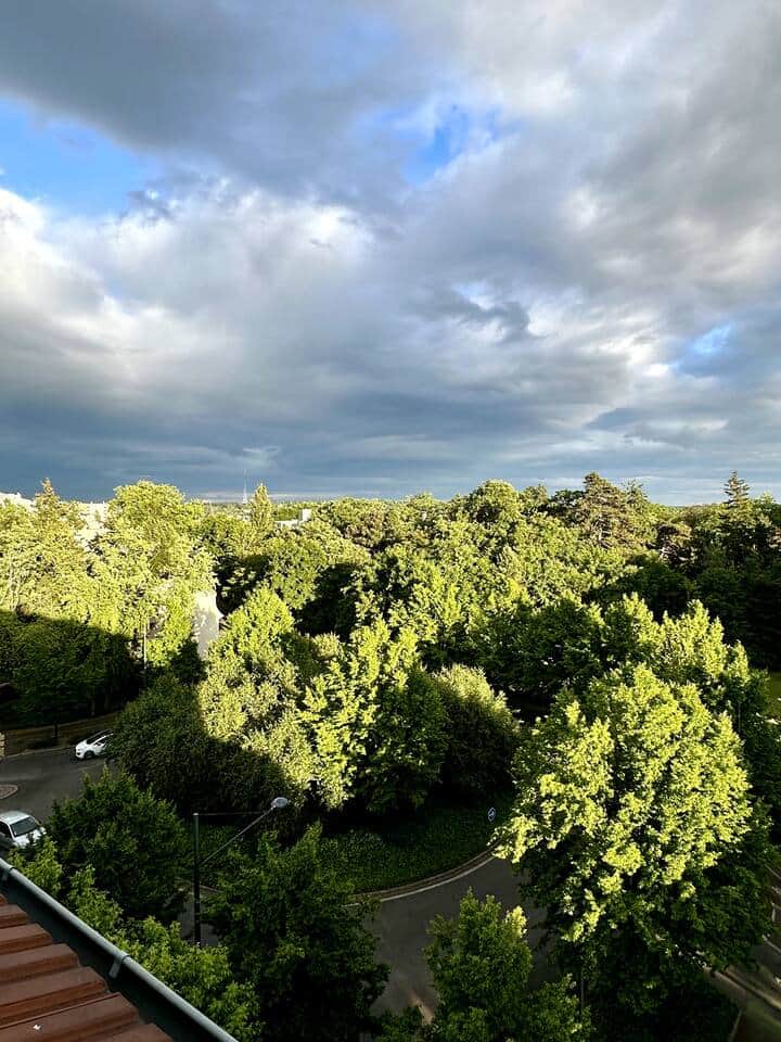 Living Room View