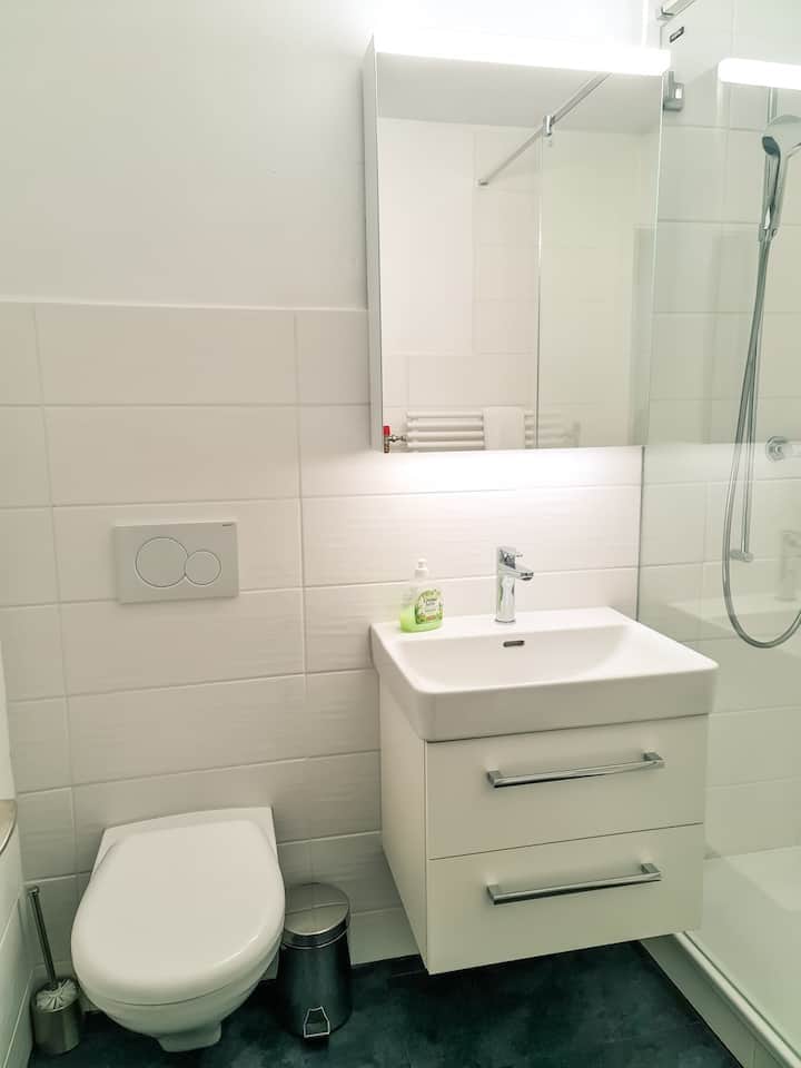 Apartment Nika