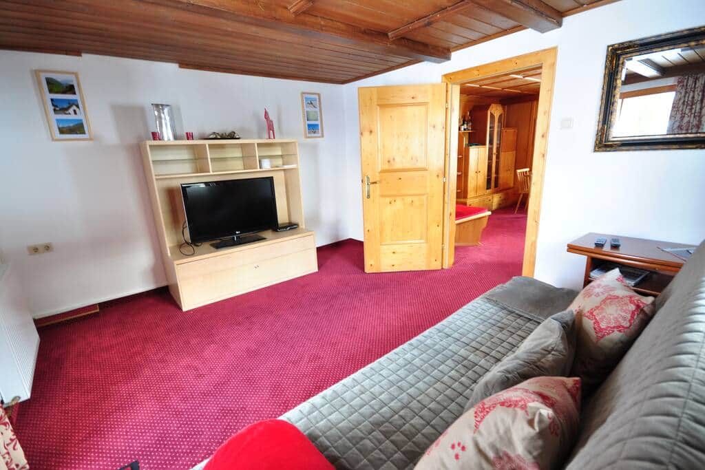 Guest room with Sofa Bed/TV room