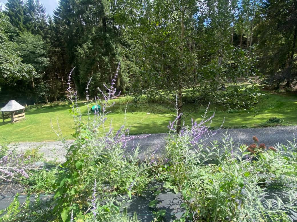 Vue du jardin, à partir du terrain de pétanque