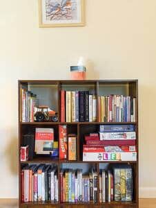 Lots of books for all ages, games as well as a toy box (not pictured) in the upstairs bunkbed room.