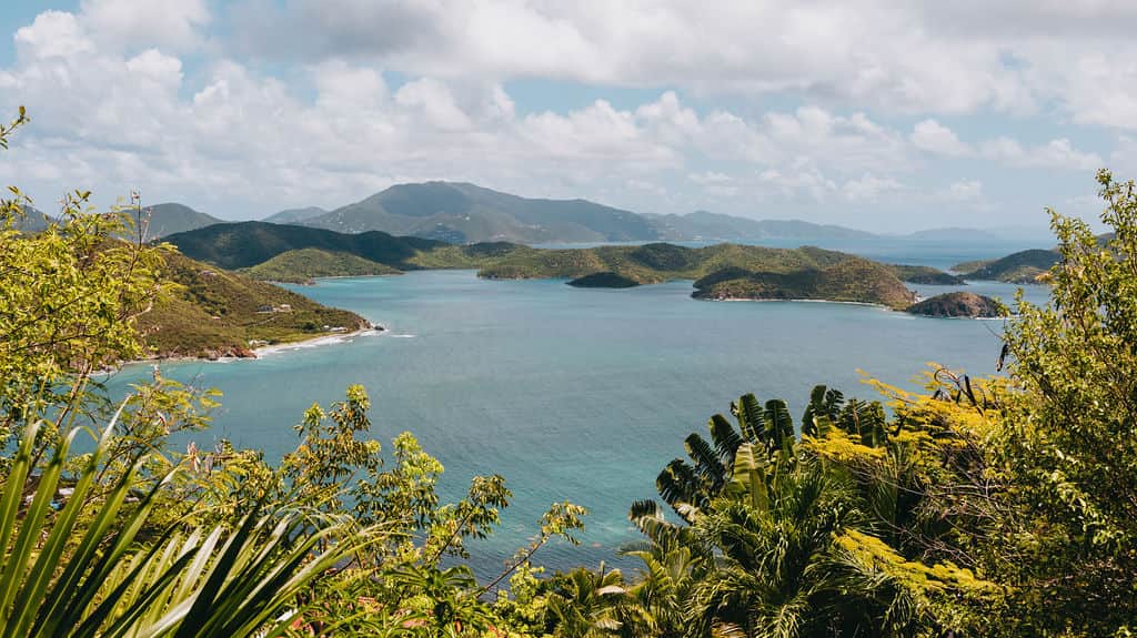 Teahouse Treehouse - view of Virgin Islands National Park and the British Virgin Islands