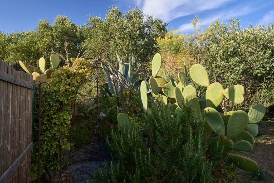 CasaElicriso_27-05-25_Giovanni Aiello_ 2