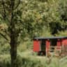 Rental image