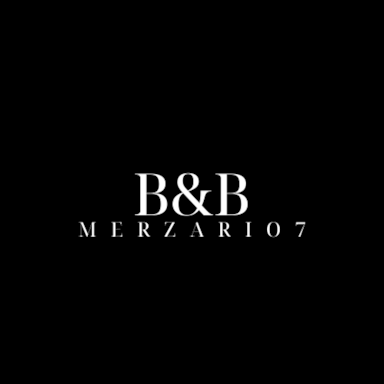 B&B Merzario7
